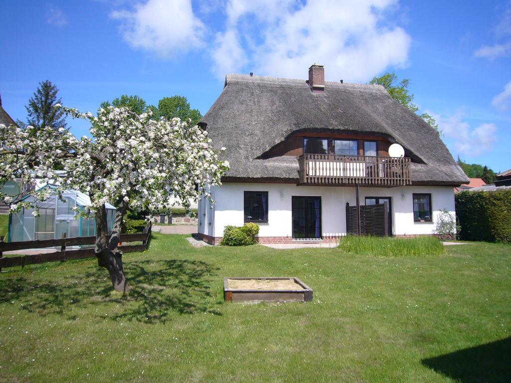 Ferienhaus Moewe Lancken-Granitz Oda fotoğraf